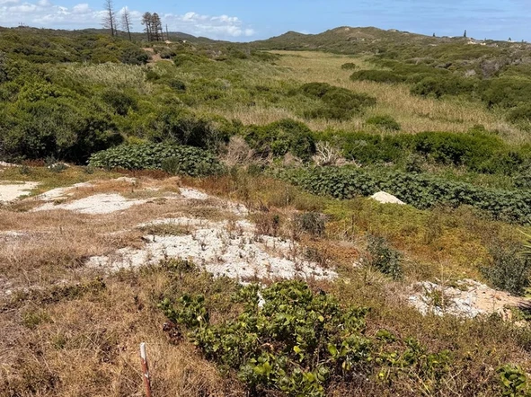 Stands & Residential Land