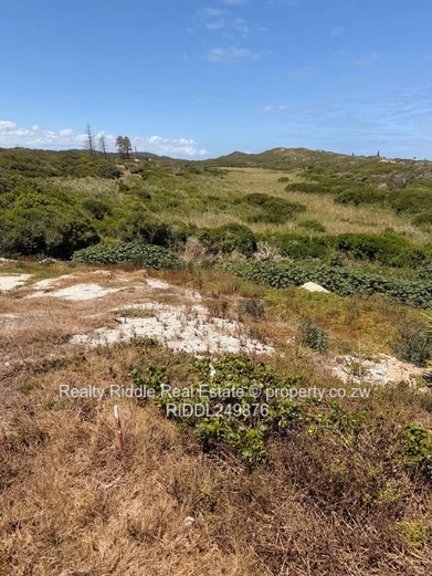 Eastern cape  stand. SEA FRONT LAND 