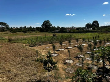 Stands & Residential Land
