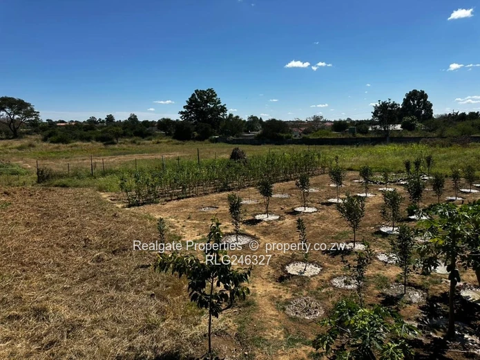 Sunninghill Stand (1 Acer) (Sole Mandate)