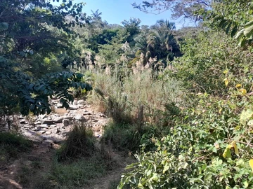 Farm & Agricultural Land