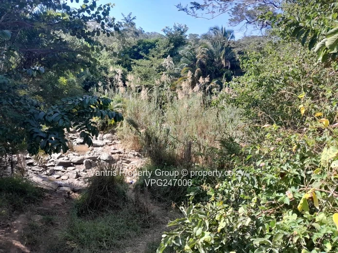 Mhangura River Ranch plot for sale !! (Sole Mandate)