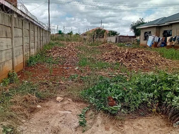 Stands & Residential Land