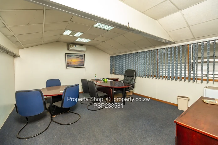 Prime High Visibility Showroom