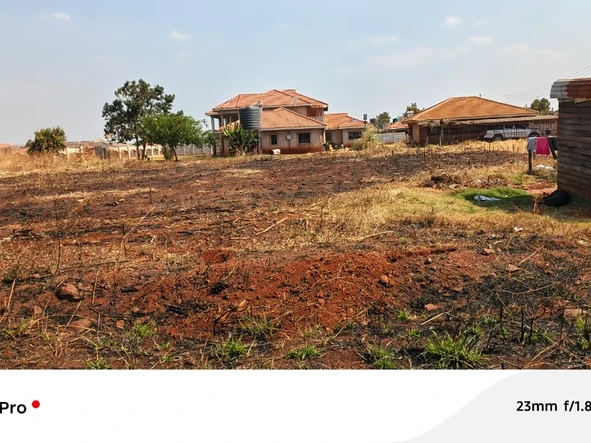 Stands & Residential Land