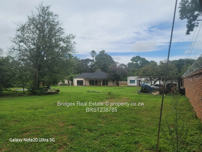 A Halley 's Comet equivalent! 