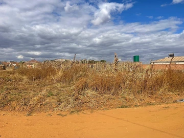 Stands & Residential Land