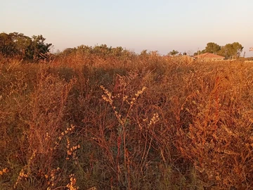 Commercial & Industrial Land