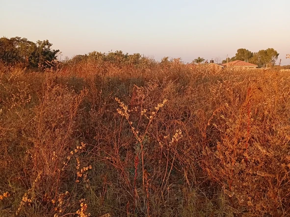 Commercial & Industrial Land