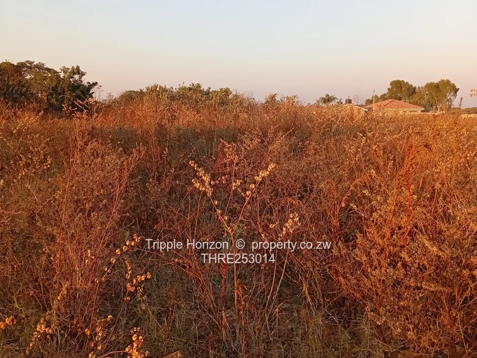 Sunset-lit Subdivision-ready 6.4ha Commercial in Damofalls