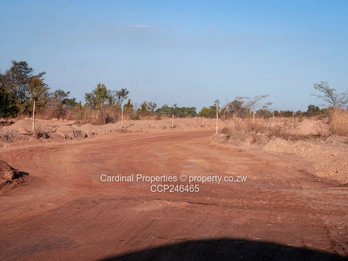 Commercial Stands For Sale In Newport
