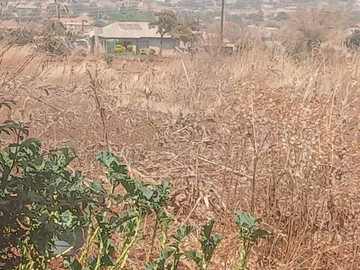 Stands & Residential Land