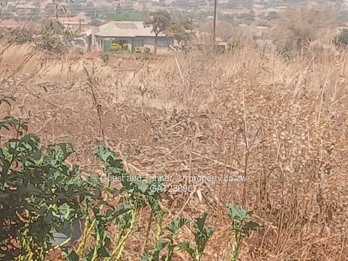 Vacant Stand For Sale In Glen Forest