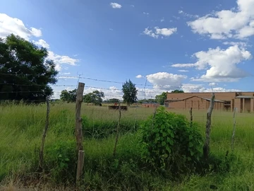 Farm & Agricultural Land