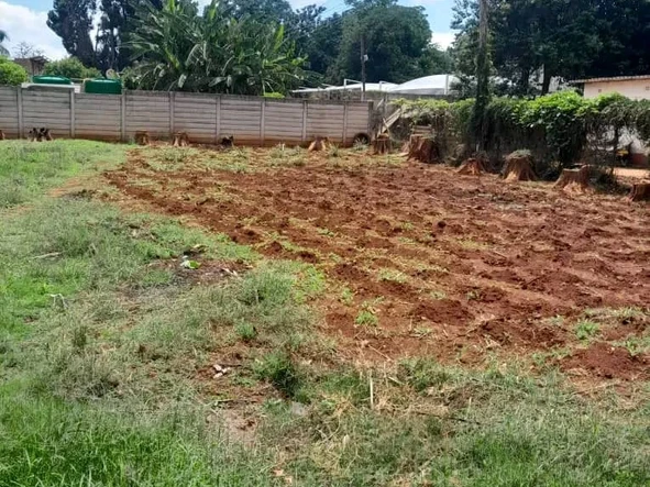 Stands & Residential Land