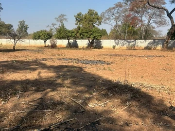 Stands & Residential Land
