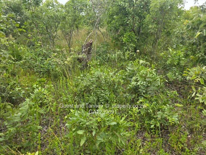 2159sqm Marondera low density residential stand for sale