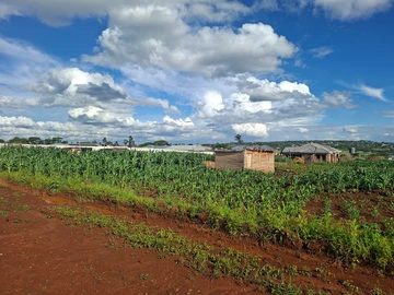 Stands & Residential Land