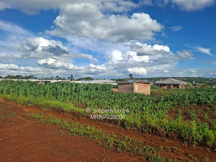 Crowhill Sawara Hills stand with slab for sale (Sole Mandate)