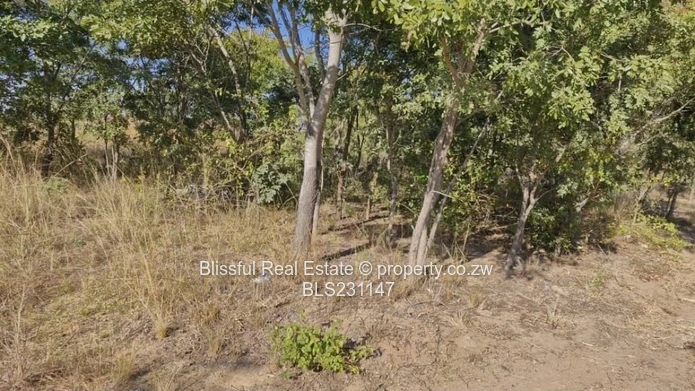 2000m² Arlington Stand 