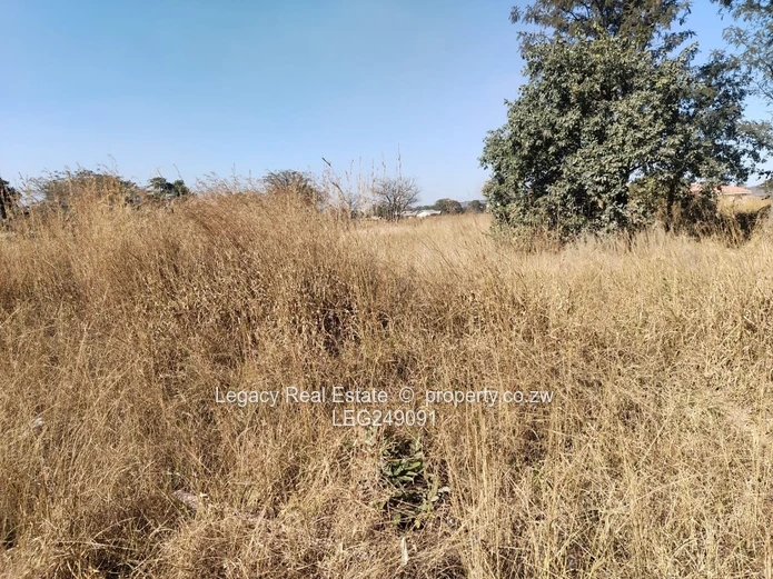 4000m² Galloway Stand — Subdivision Potential & Water