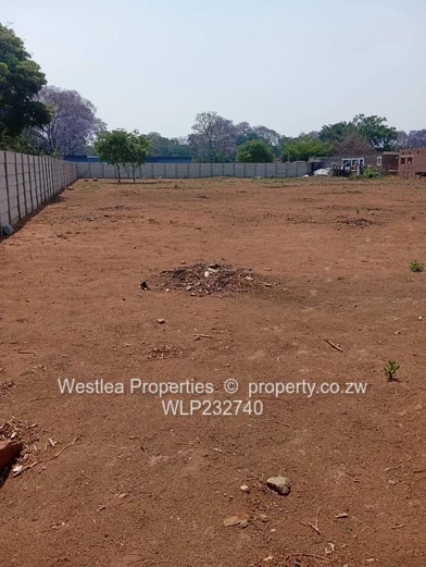 An opportunity not to miss