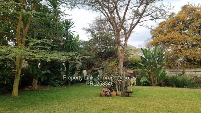 Prime Location Main Road Frontage