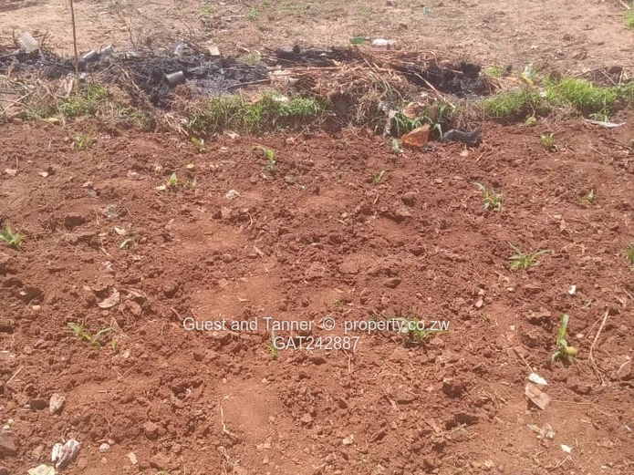 Stand For Sale In Granary Park Phase 2