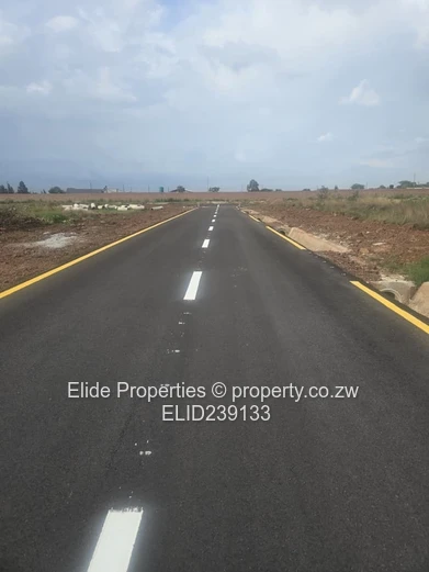 Spitzkop Phase 1 Stand For Sale (Sole Mandate)