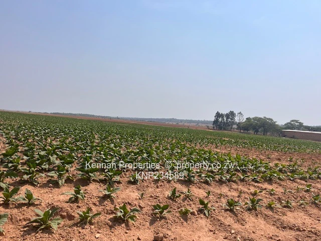 New Farm Listing - Bromley 