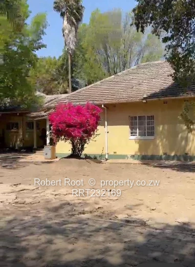 Sole Mandate :  The Visionary Developer's Dream 