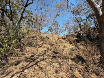 Commercial & Industrial Land