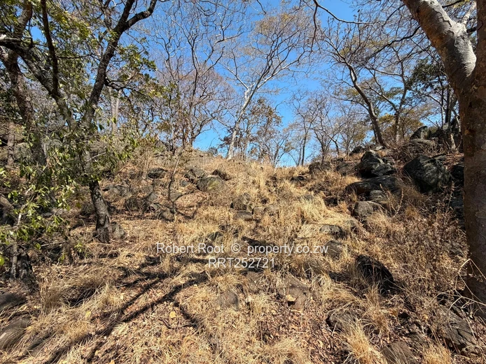 1.56ha at Darwendale with Lake View