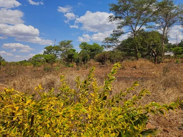 Commercial & Industrial Land