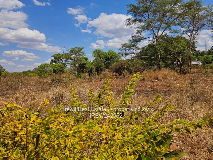 Kwekwe Commercial Land (Sole Mandate)