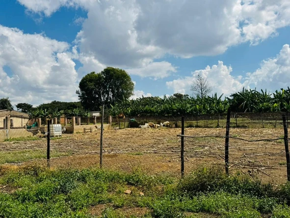 Farm & Agricultural Land
