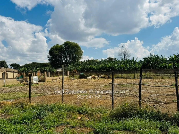 Prime Multi-Purpose Plot | Knowe, Norton