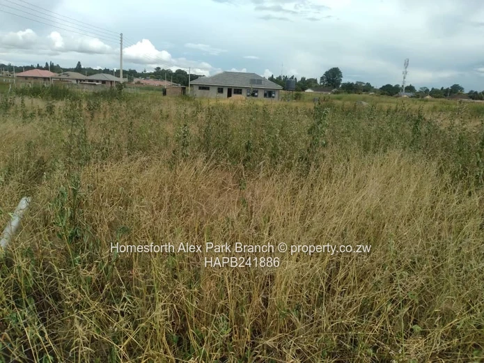 New Marimba Stand On Sale