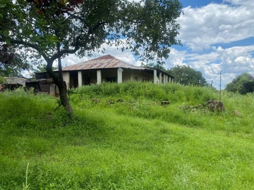 Farm & Agricultural Land