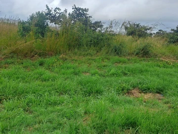 Commercial & Industrial Land