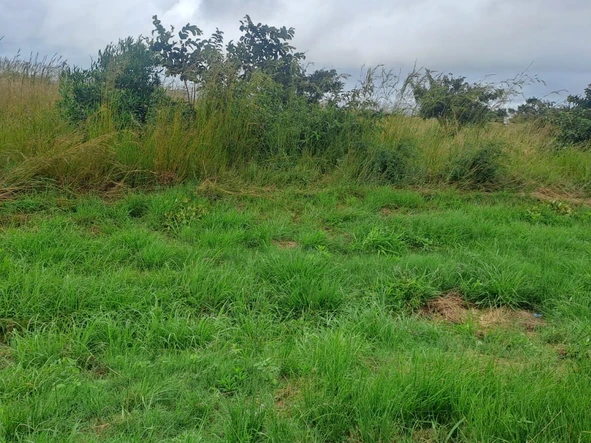 Commercial & Industrial Land