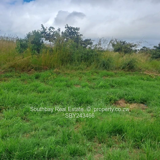  Grab this highway goldmine!  (Sole Mandate)