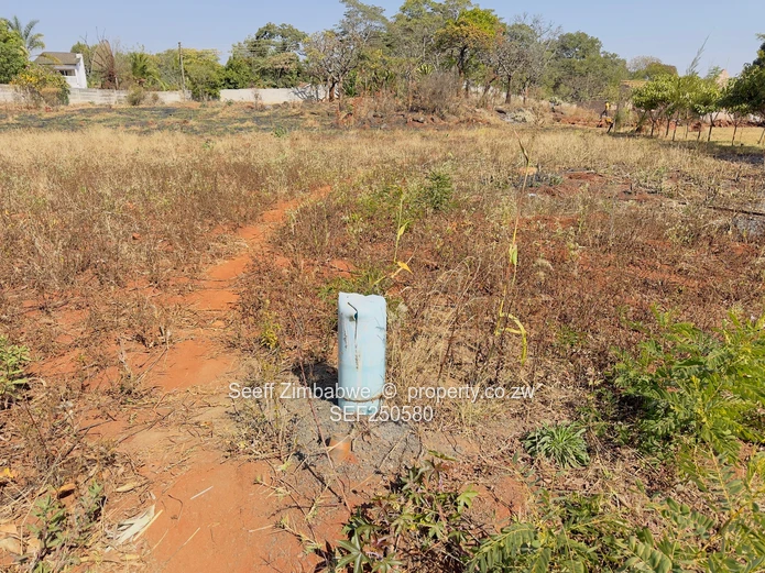 Prime Vacant Land Opportunity in Mandara