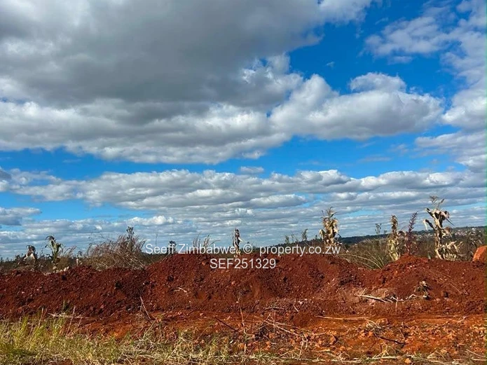 300 m² Serviced Plot on Tarred Road — Nyabira (Sole Mandate)