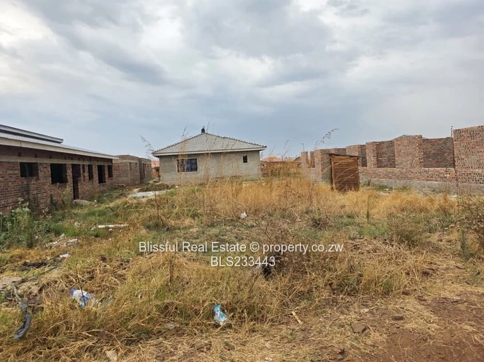 glaudina stand for sale