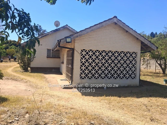 Golden Oldie Spacious Family Home for Sale - Hatfield 