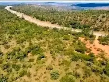 Farm & Agricultural Land