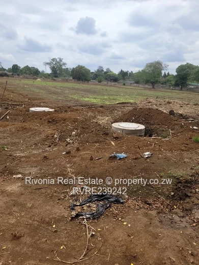 Old Marlborough 800- 1000sqm stands 