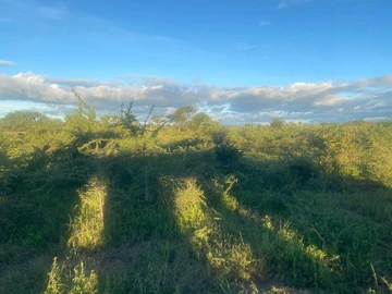 Farm & Agricultural Land