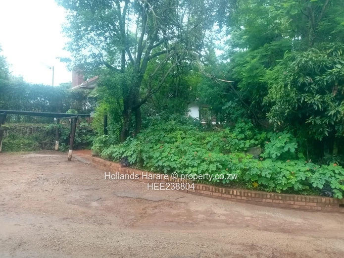 Avondale commercial property.